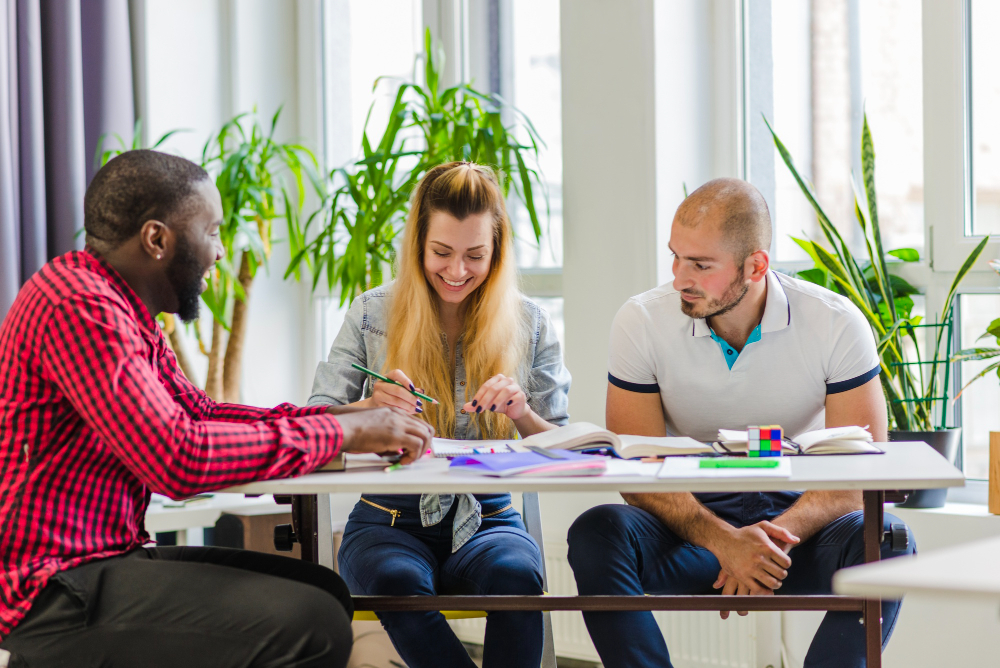 Local Mental Health Advisory Council Minnesota